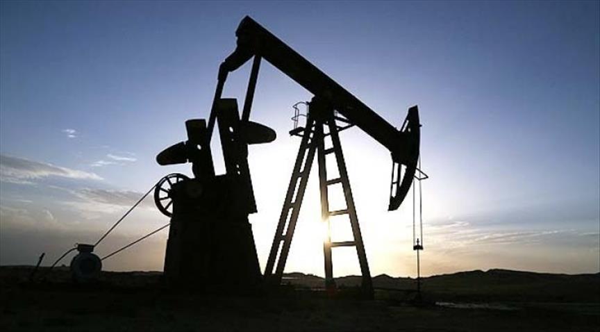 Israeli consortium discovers oil in West Bank