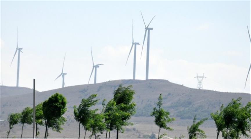 Record wind growth creates 1.1 mln employment globally