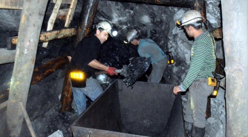 Thermal coal trade to fall 40% by 2035: Wood Mackenzie