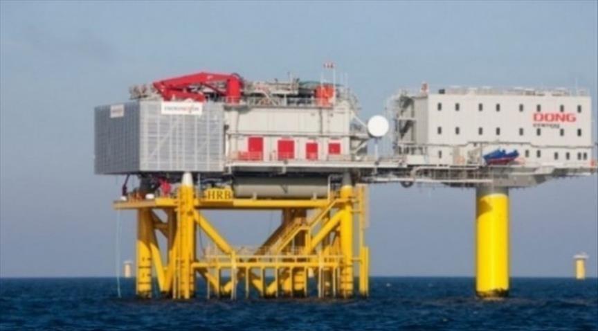 Denmark's largest power station to swap coal with wood