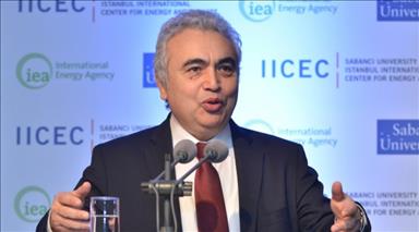 Biggest growth in energy to come from renewables: IEA