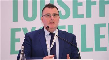 Turkey to soon achieve ideal mix in renewable energy
