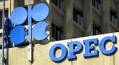 OPEC committee agrees on monitoring output measures