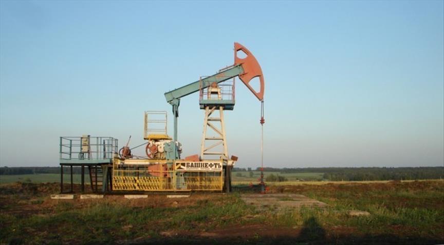 US oil imports from OPEC declined 60% from 2008 to 2015