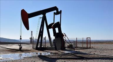 Turkish Petroleum hits production record