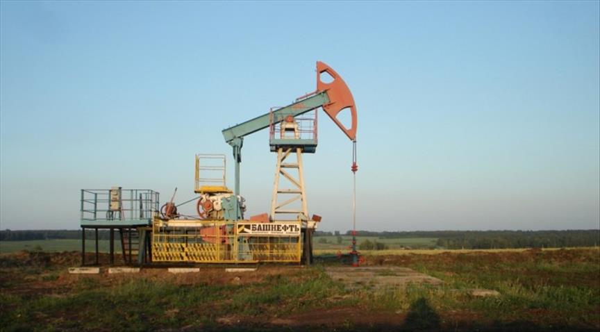 Argentina seeks to increase shale gas production: EIA