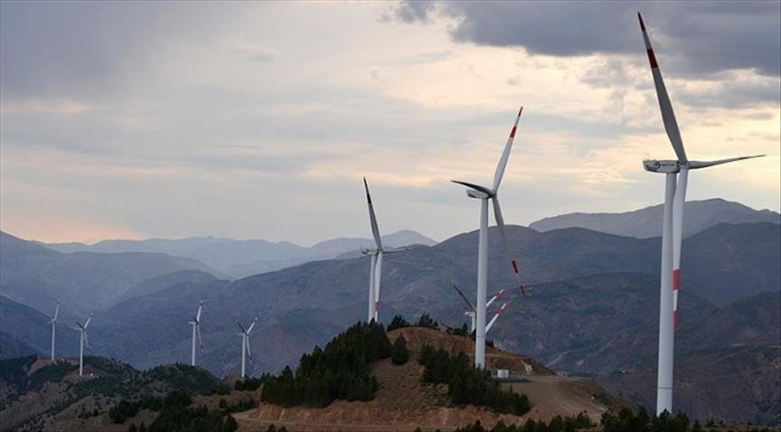  New Zealand aims to expand renewables by 2025: IEA