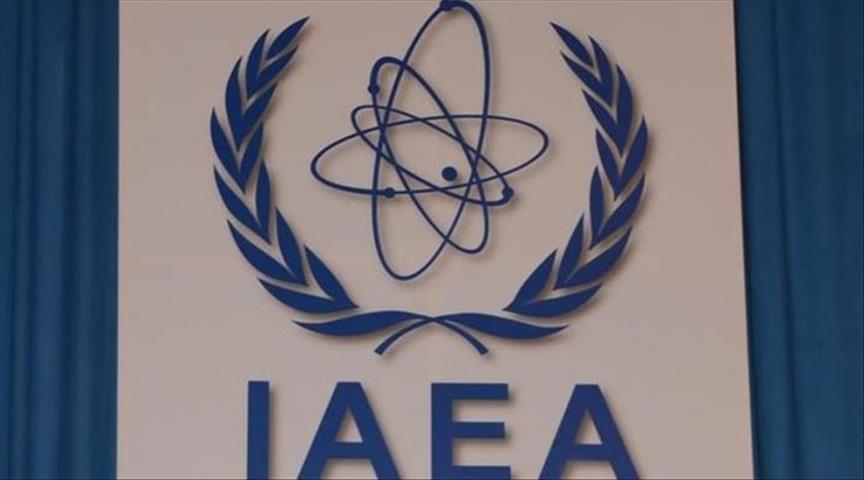 Nuclear agency completes Greek Cypriot's safety review 