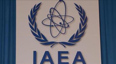 Nuclear agency completes Greek Cypriot's safety review 