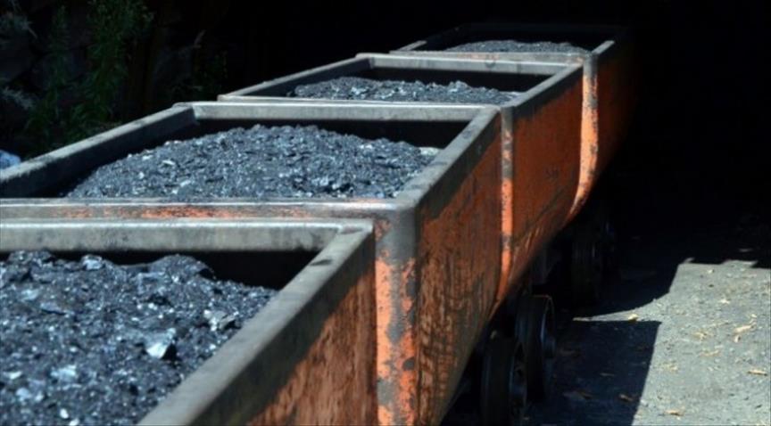 China's share of coal usage falling: Nat. Stats. Bureau