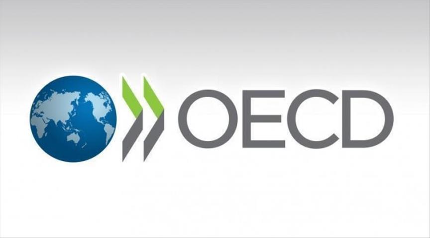 OECD upgrades Turkey GDP growth forecast to 3.4 pct