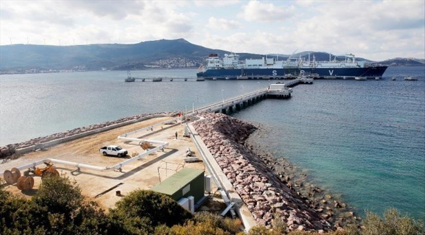 UAE, Egypt to replace LNG supplier due to Gulf crisis