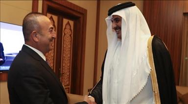 Turkish FM urges peace, dialogue in Gulf crisis
