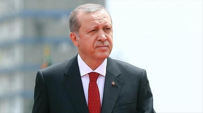 Turkish president talks Qatar with emir, French leader
