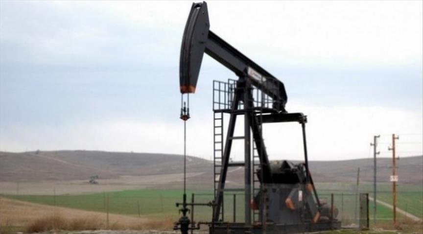 Dutch Vitol acquires 10% of Pakistan based Hascol