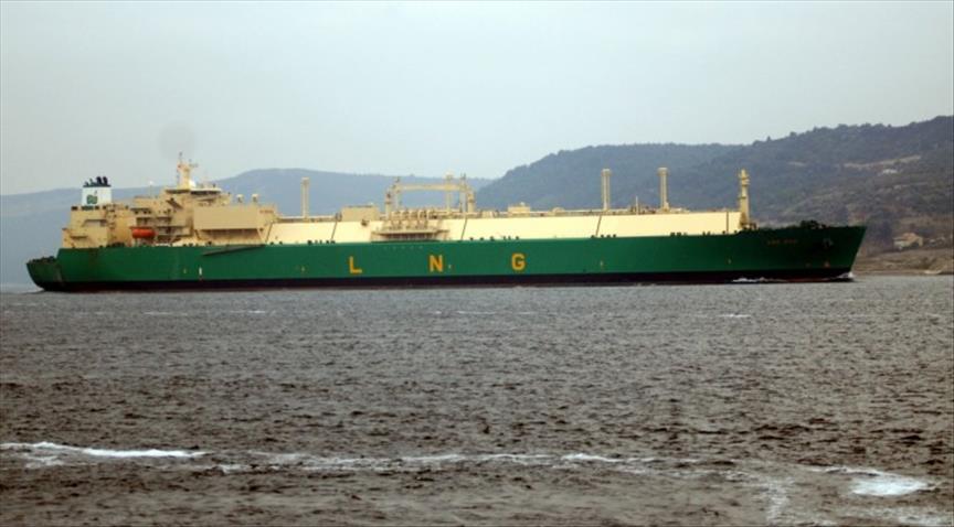 Anadarko signs two agreements for Mozambique LNG proj.