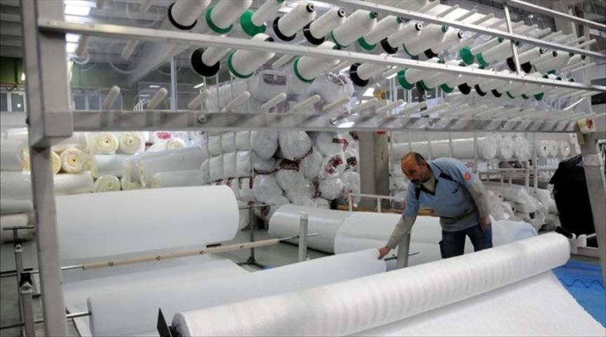 Turkey's industrial production rises in June