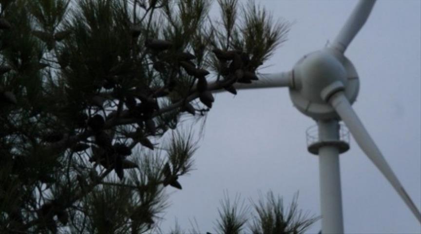 Vestas receives 443 MW wind order in Mexico