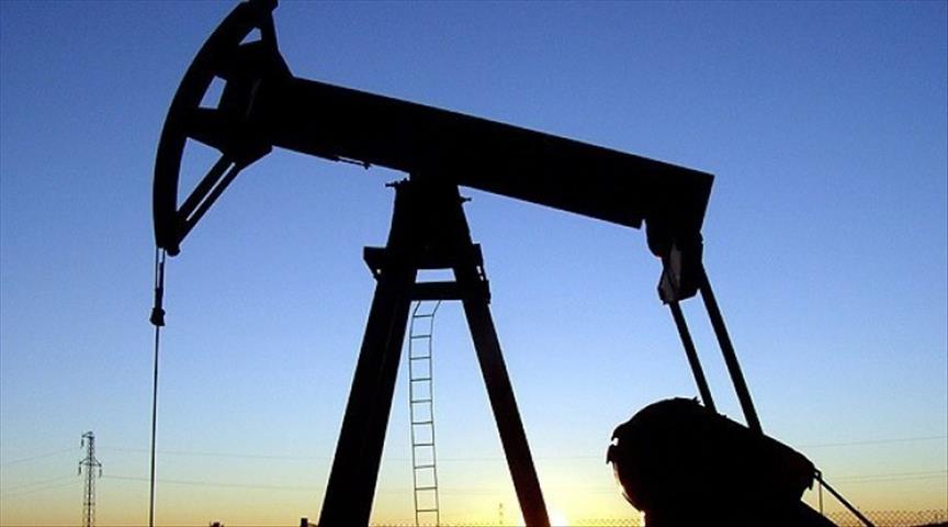 Oil, gas flows from Nigeria's Gbaran-Ubie phase 2 proj.