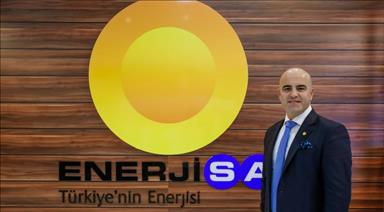 Turkey's Enerjisa to be ready for IPO in 2018: CEO