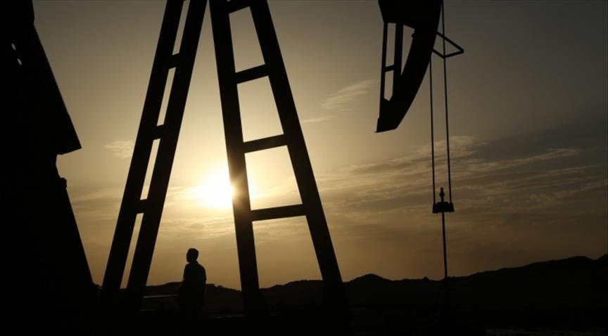 Iraqi forces secure 40 oil wells in Nineveh province