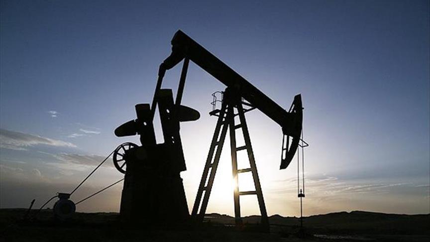 US crude oil inventories, production increase: EIA