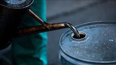 Weekly oil report, Nov. 14