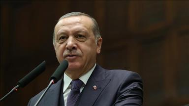 Nuclear power naysayers won't deter Turkey: Erdogan
