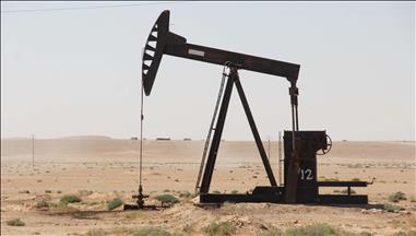 Weekly Oil Report, Nov. 21
