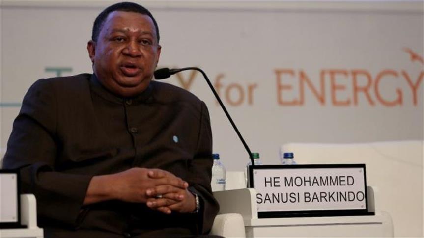 Oil, gas still to play significant role: OPEC president 