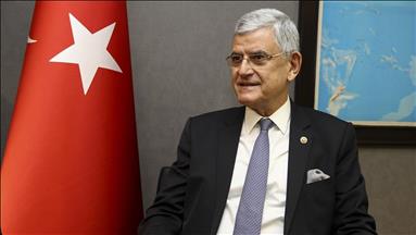 Turkey will add value to EU: Turkish parliamentarian