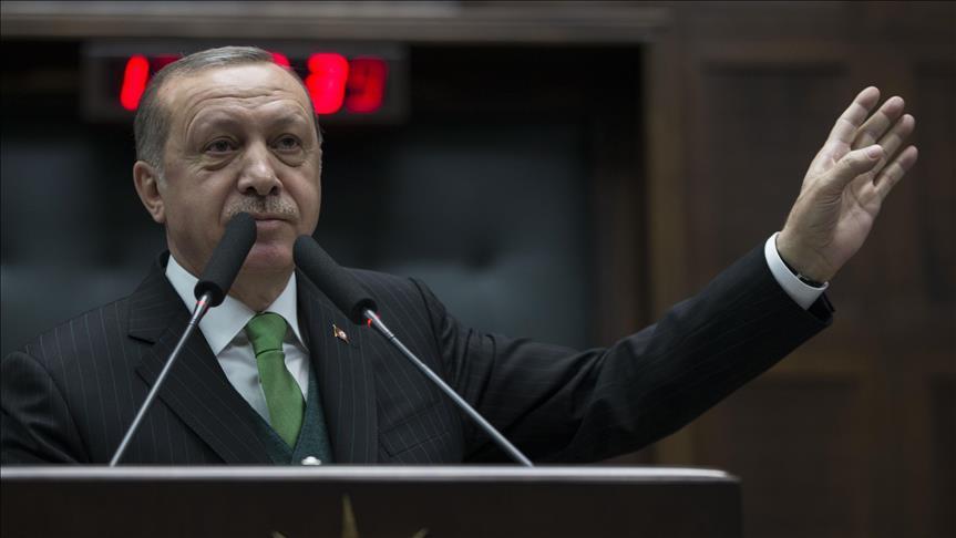 Turkey to 'destroy' terror nests in Syria: Erdogan