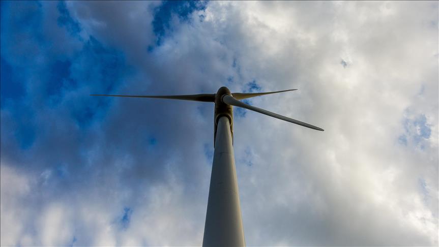 Wind to pass hydro in US electricity generation: EIA