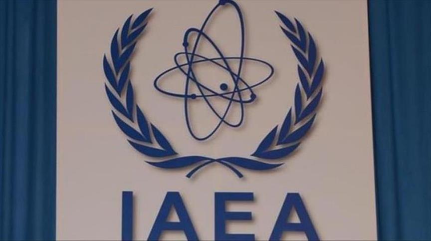 France shows commitment to nuke safety: top atomic body 