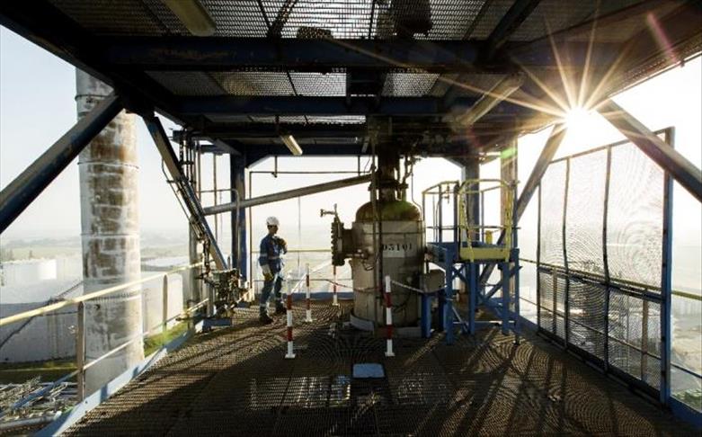 Total buys stakes in offshore Guyana
