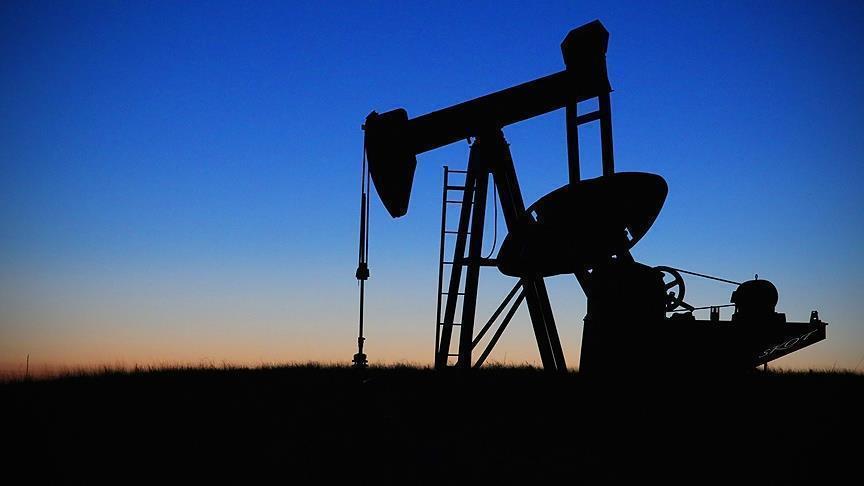 Weekly Oil Report, April 24