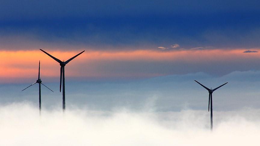 Denmark aims to build country's largest wind park