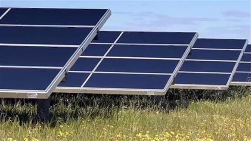 Global off-grid renewable energy use on rise: IRENA