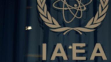 UN nuclear watchdog's top inspector resigns