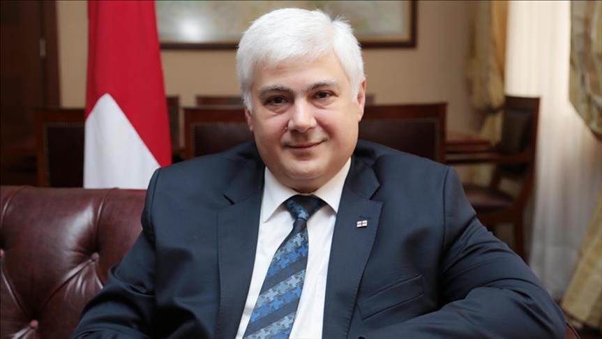 Georgian envoy hails excellent relations with Turkey