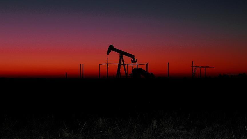 Brent oil trades at $74.06 at week beginning June 25