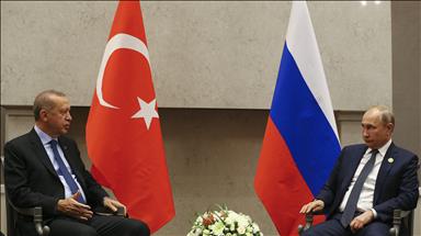 Erdogan, Putin meet on sidelines of BRICS summit