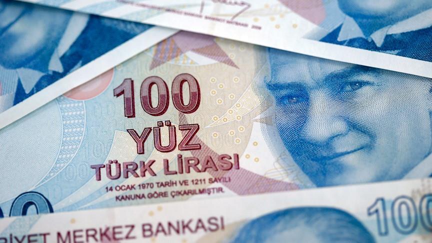 Azerbaijanis rally in support of Turkish lira, products