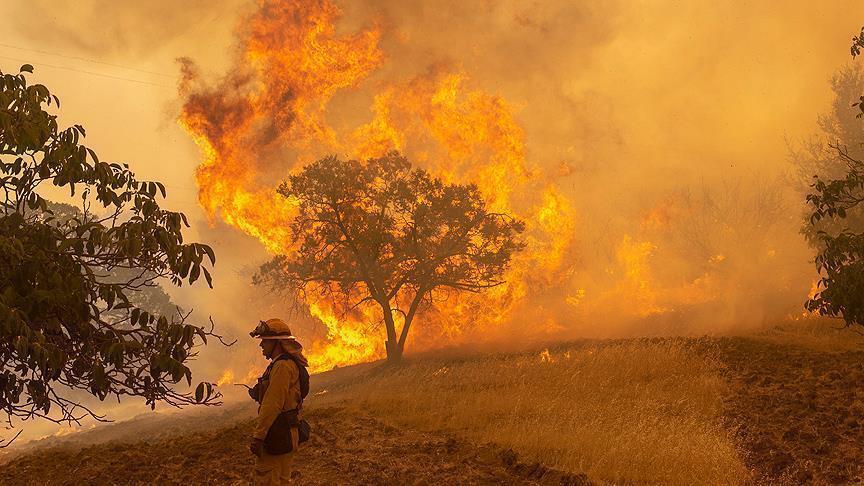 How climate change and human activity fuel wildfires