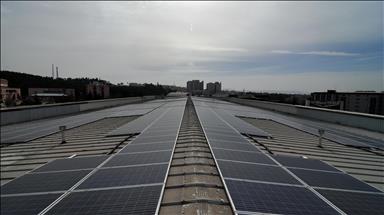 Summer heatwave to boost solar energy generation in EU