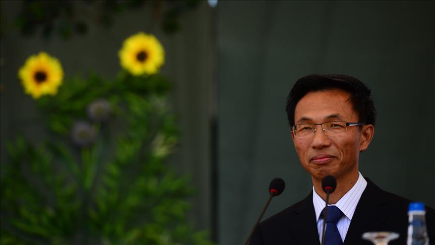 Turkey, China have forged strategic partnership: Envoy