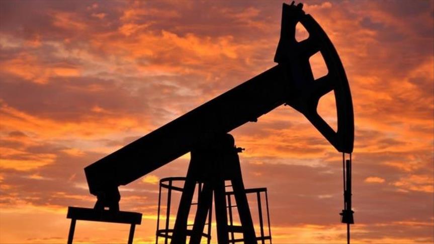 US oil, gas production rises despite fewer wells: EIA