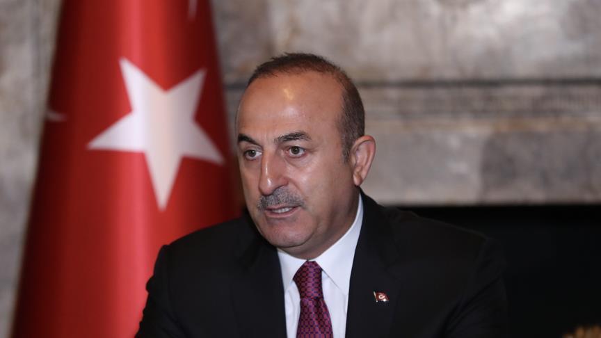 Turkish FM urges enterprising foreign policy for peace