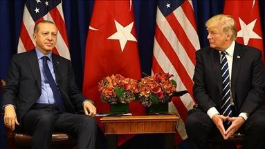 Trump open to meeting with Erdogan: White House