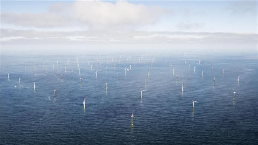 Offshore wind energy set to increase in US: IEEFA